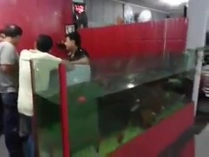 16 reactions · 3 comments | Gym Equipment manufacturer in India - Best Gym Equipments like Recumbent Bike, Eliptical Trainer, Treadmill, Multi Gym & Home Gym Equipments. call us 09316970498 | Gym Equipment Manufacturer ! Syndicate Gym Industries | Facebook