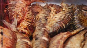 Chef cooking danube shad on a sheet pan