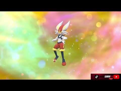 Raboot Evolves Into Cinderace Pokémon Violet The Indigo Disk DLC