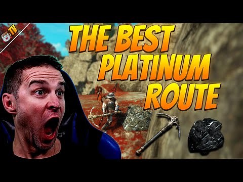 The Best Platinum Ore Route in New World!