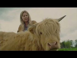 Rocky Mountain PBS Create TV Program Break (January 9, 2024 at 8:30 PM)