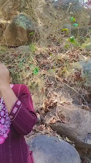 vima (@vheemachhetri)’s videos with original sound - 𝑴𝒂𝒏 𝐆𝐜✅