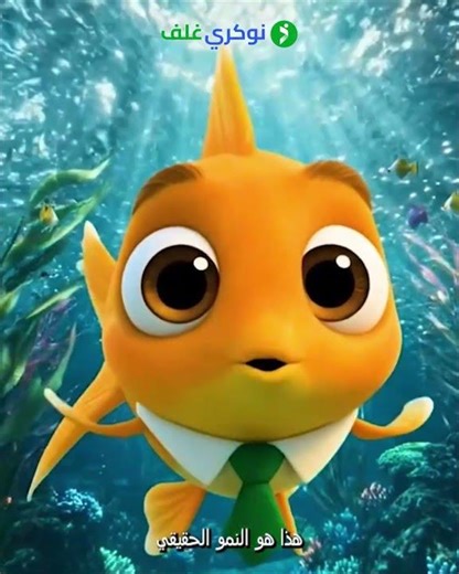 Stop swimming in circles!