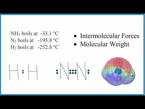 H2, N2, and NH3 : Comparing Boiling Points