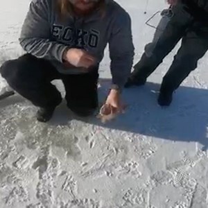 2.3K views · 40 reactions | Fishlight  #lowlyworm #ivegotwormsthatswhatweregonnacallit #doesntfeelbaaad @ooccus | Viral Nut Shots | Facebook