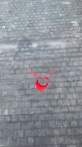 3.4M views · 19K reactions | Watch our Taiyi Flying Pig take off!  Easy to fold, fun to fly, and magical to watch—make this cute flapping paper airplane with your kids today! ✂️️ #TaiyiFlyingPig #PaperAirplane #DIYOrigami #FlappingPlane #KidsCraft #FamilyFun #PaperCrafts #OrigamiForKids #OutdoorPlay #CreativeActivity | Art, Crafts and Journals | Facebook