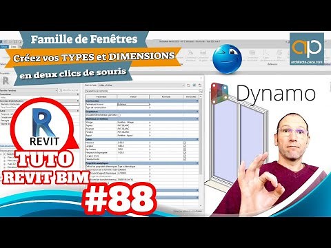 Dupliquer des types de familles en 2 sec. Tuto REVIT Gratuit n°88 - Dynamo Script en Français