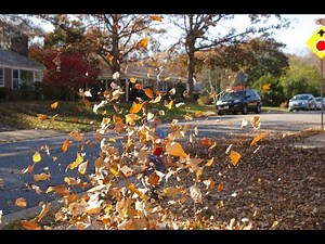 how to animate leaves blowing in the wind in blender 2.8