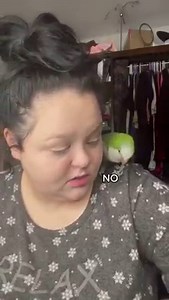 Who knew a parrot could enjoy sleepwalking? 🦜 | Celinaspookyboo