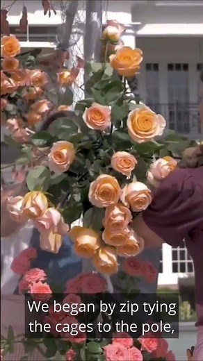 Placing Floral Foam Cages on Wedding Design Day