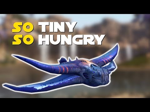 SWTOR Flirron Hatchling Pet Guide