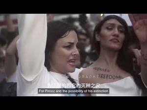 Baraye《为了》🇮🇷 伊朗头巾革命歌曲 - Shervin Hajipour