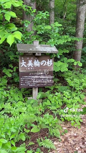 この景色、すべて山形県です #山形 #観光 #山形観光 #sightseeing