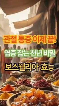 관절 통증 이제 그만! 염증 잡는 천년 비밀, 보스웰리아 효능🔥 #보스웰리아효능 #보스웰리아먹는법 #관절건강 #천연염증억제제 #만성통증관리