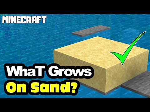 MINECRAFT | What Grows on Sand?