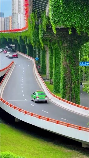 Why Is This City Covering Highways With Plants? 🌿🏙️