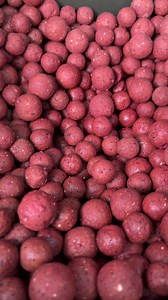 MTC Baits - Made to Catch on Reels