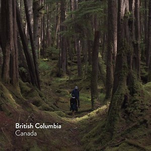 4.2K reactions · 670 shares | Enjoy a moment of bliss in British Columbia's rainforest. | Super, Natural British Columbia | Facebook