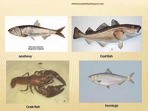 french classical menu