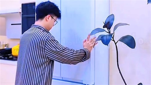 东芝官方旗舰店白珍珠548双系统双循环60cm薄零嵌入式大容量法式冰箱