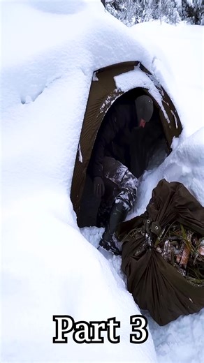 Extreme Deep Snow Camping With My Dog: Survival Tips and Skills