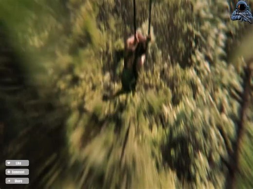 Bollywood's Best Scene Moments You Can't Miss