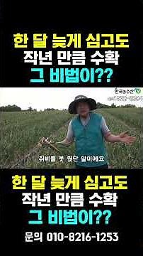[한국농수산TV] 한 달 늦게 심고도 작년만큼 수확했어요!! 엽면시비 농법의 승리