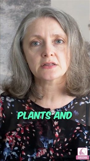 When Russia Built Its Own Tech