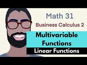 8.1 Multivariable Functions--Linear Functions (Video 3) | Business Calculus 2