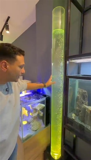 67K views · 437 reactions | هتكون شيك جداً في مكتبك، شركتك، معرض...