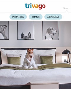 16 reactions | Use trivago to compare prices and get a great deal. | trivago | Facebook