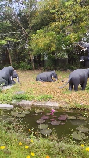 Ruesi Dat Ton Park. #shorts #pattaya #pattayathailand