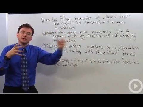 Gene Flow - Migration