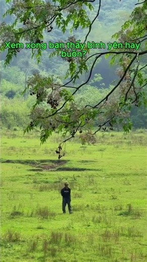 Bình yên là khi... nhìn từ xa thấy bóng dáng quê mình