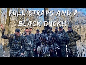 Awesome Duck Hunting In The Timber!! | Limits And A Black Duck! | Into The Woods with Rusty Creasey
