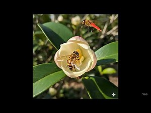 Learn to breathe deeply by imagining a fragrant #qigong