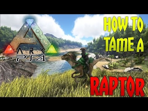 ARK: Survival Evolved - How To Tame A Raptor! [Easy Guide]