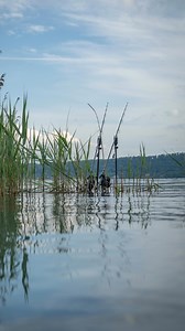 Screaming Siren’s and huge Italian carp; the @carplifer duo done Italy properly! 🎣💯 Watch the full film NOW on Nash TV 🍿 #NashTackle #Nashbait #MakeItHappen #NashTV #Carp #CarpFishing | Nash Tackle