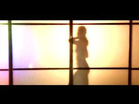 Armand van Helden - The Funk Phenomena (Official Video)