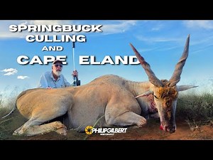 Culling Springbuck and Hunting the Cape Eland - Mega Springbuck