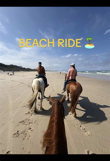 Walter's First Beach Ride: A Wild Horse Experience