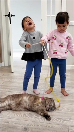 Why Do Cats Love to Play? Fun Facts for Kids! 🐱🦁🐯