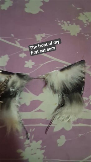 cat ears #therian#otherpaw#alterhuman#furry