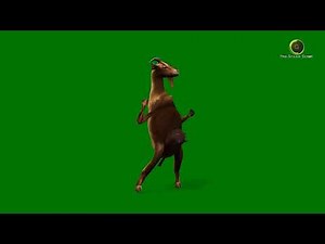 Goat Dancing Green Screen HD