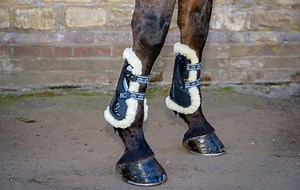 Veredus STS Carbon Gel Vento boots review | Horse & Hound