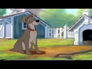 Lady And The Tramp II: Scamp’s Adventure: Tramp (10)