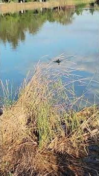 I tell you that man has no more tormenting care than to find someone to whom he can hand over