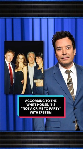 White House Statement on Partying with Epstein