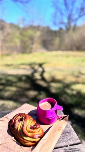 No Café Needed: Swedish Fika in the Wild