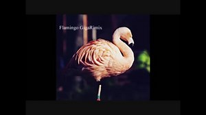 Flamingo GigaUTAURemix
